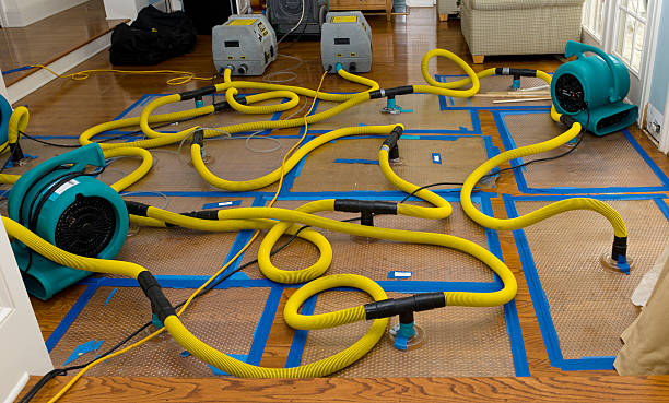 Professional Burst Pipe Water Damage technician working in Jonesville, VA